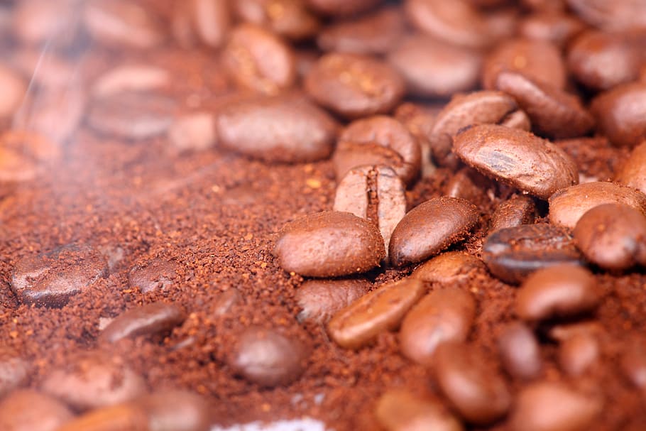 bean, background, macro, pattern, food, drink, dark, photography HD wallpaper