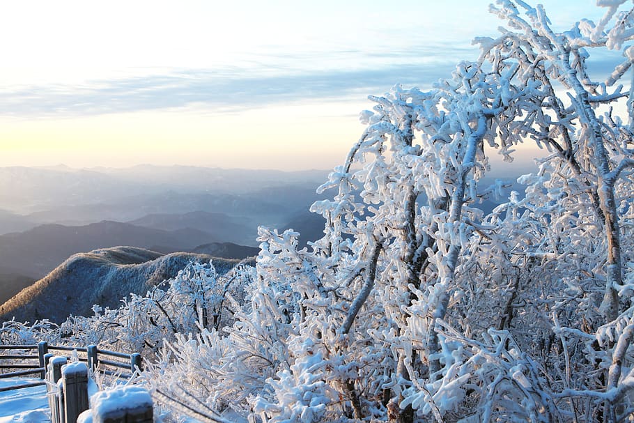 snow, winter, nature, mountain, frost, cold temperature, beauty in nature HD wallpaper