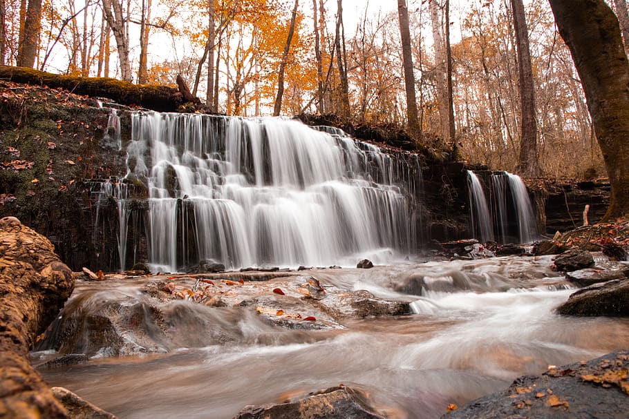 waterfalls surrounded by brown trees, outdoors, river, nature HD wallpaper
