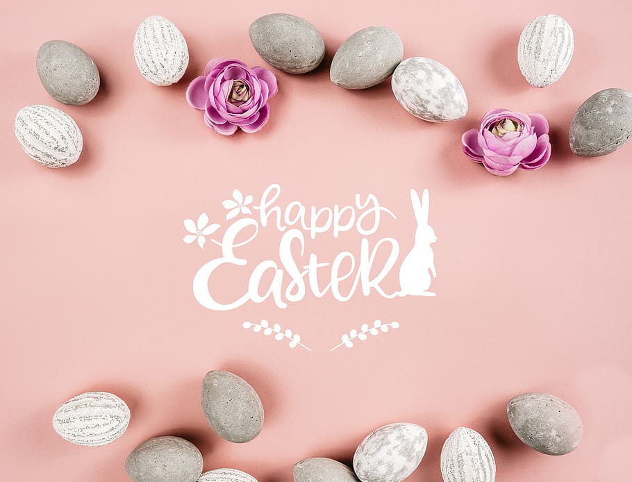 happy easter, bunny, flowers, cute, spring, hare, sweet, decoration