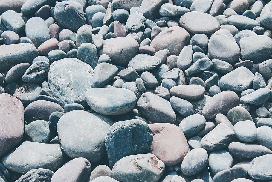 grey stones, pebble, rock, rug, walkway, path, texture, invertebrate HD wallpaper