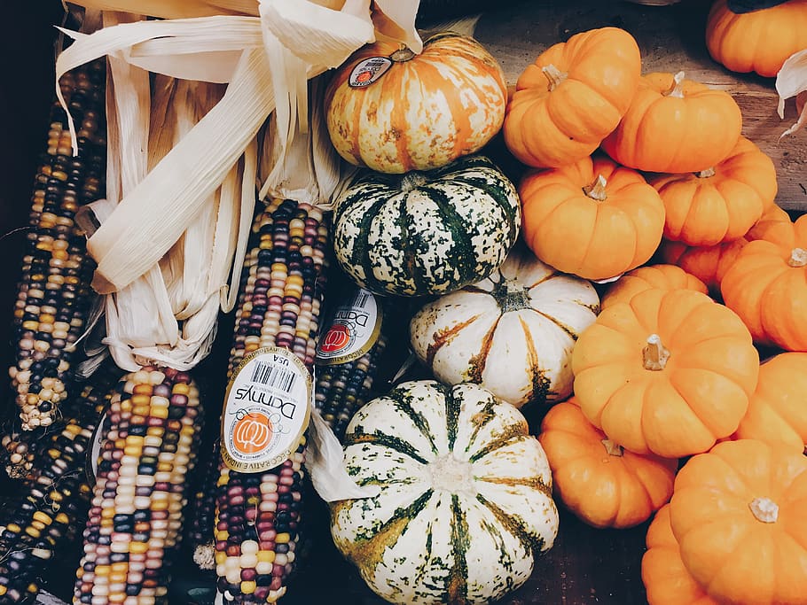 Winter Squash Beside Corn, fresh, pumpkins, vegetable, food, food and drink HD wallpaper