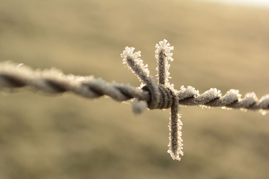 barbed wire, frost, winter, fence, nature, cold, border, snow, HD wallpaper