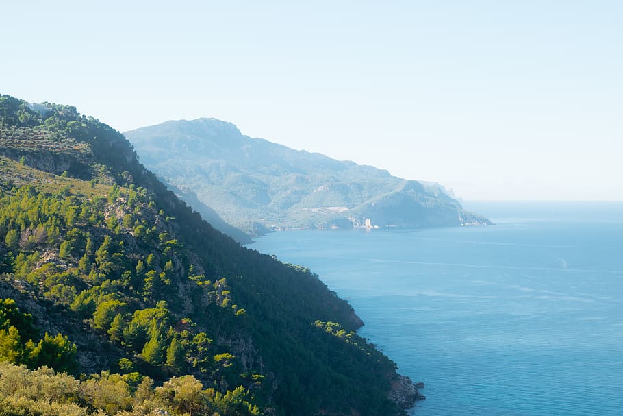 majorca, spain, green, forest, coast, landscape, scenery, water HD wallpaper