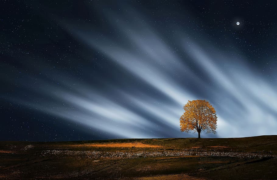 Long Exposure Photography of Sky, breathtaking, calm, environment HD wallpaper
