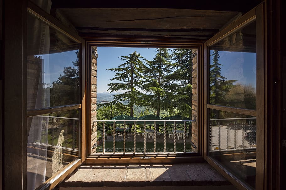 Two Pine Trees Outside House, architecture, building, conifers HD wallpaper