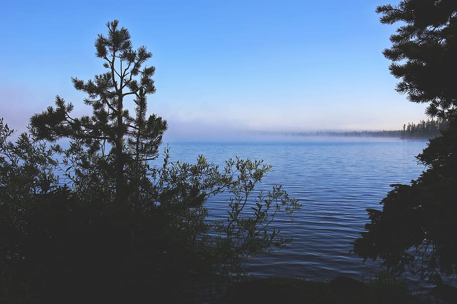 united states, jackson lake, desktop, background, peaceful