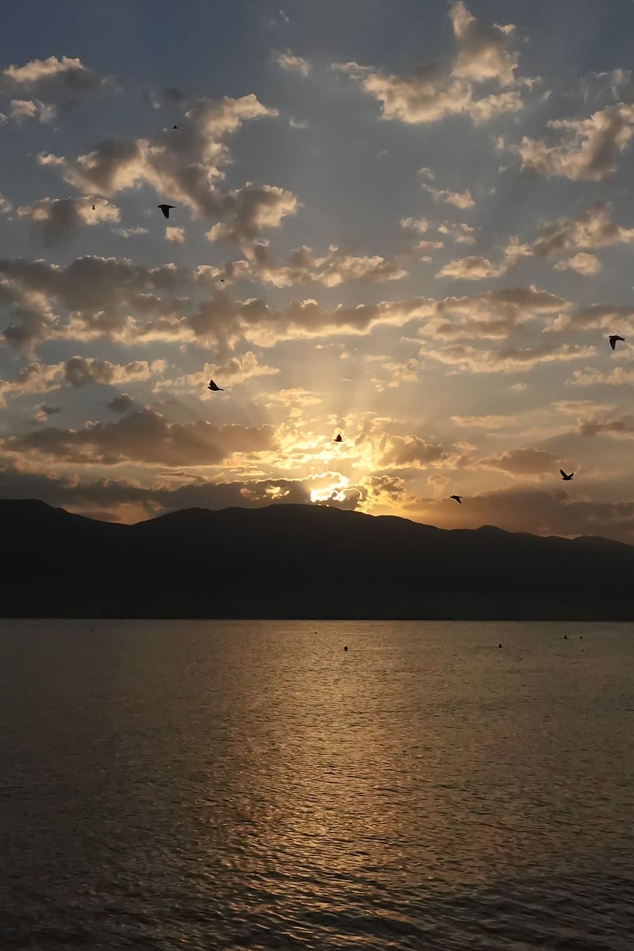 sunrise, dawn, clouds, sky, birds, sea, mountain, rays, water HD wallpaper