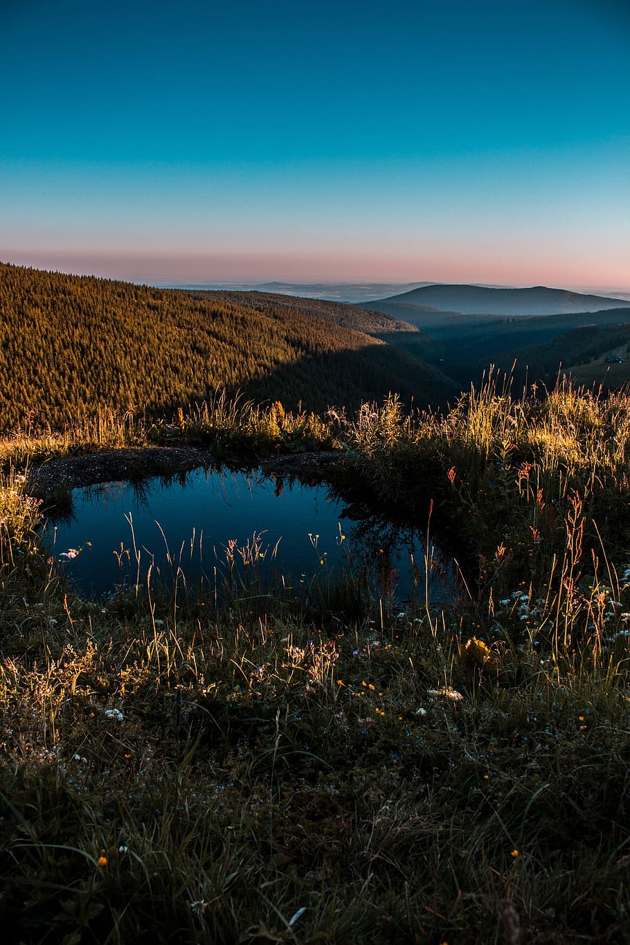 czech republic, strážné, krkonoše national park, pond, tree