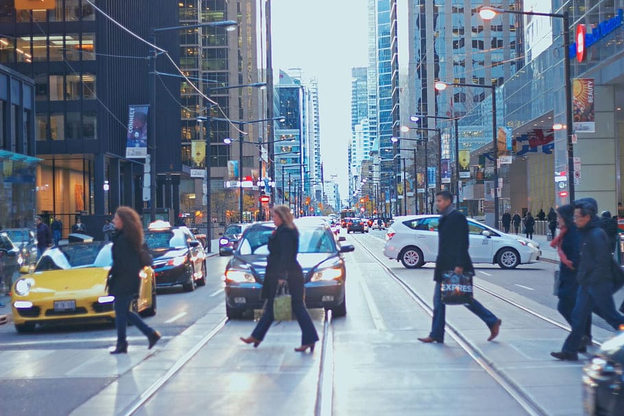 crossing, walk, people, human, city, walking, buildings, construction HD wallpaper