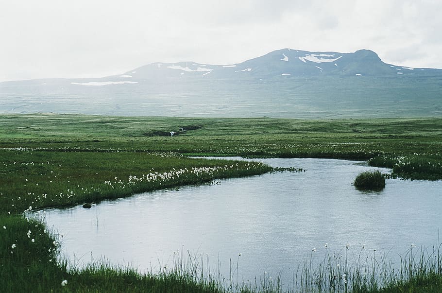 pond, water, fields, green, grass, mountains, hills, valleys HD wallpaper