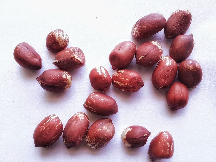Ground nuts isolated on white backround, groundnut, groundnuts HD wallpaper