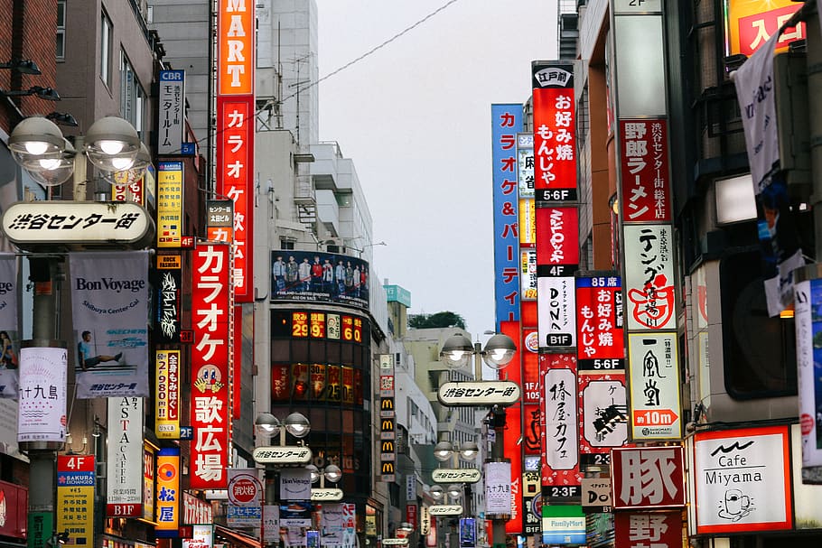 japan, shibuya-ku, shibuya station, japanese, street, tokyo