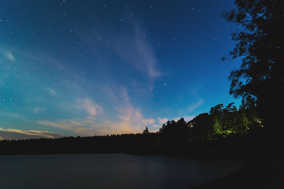 cloud, light, tree, long exposure, night, sky, star, lake, scenics - nature HD wallpaper