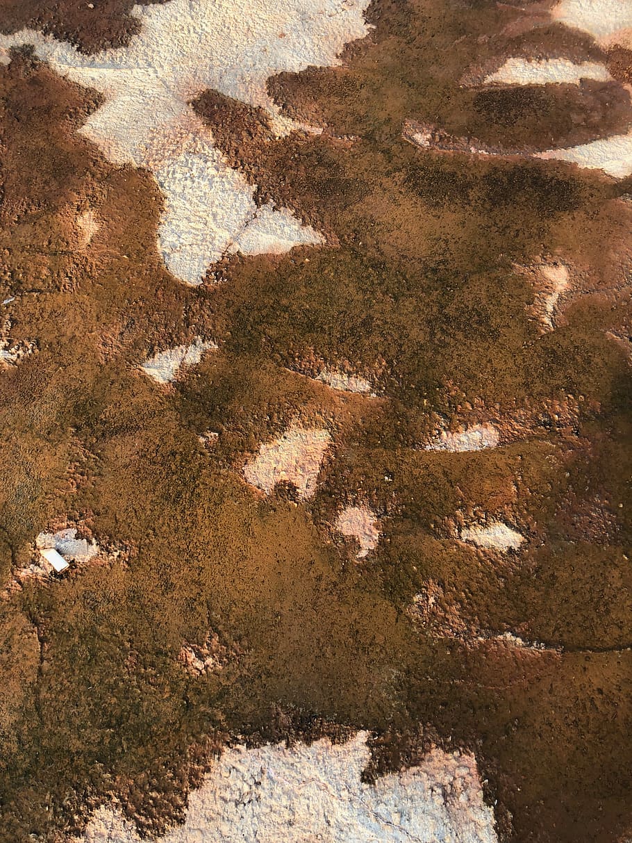 brown and white textile, nature, outdoors, landscape, scenery HD wallpaper