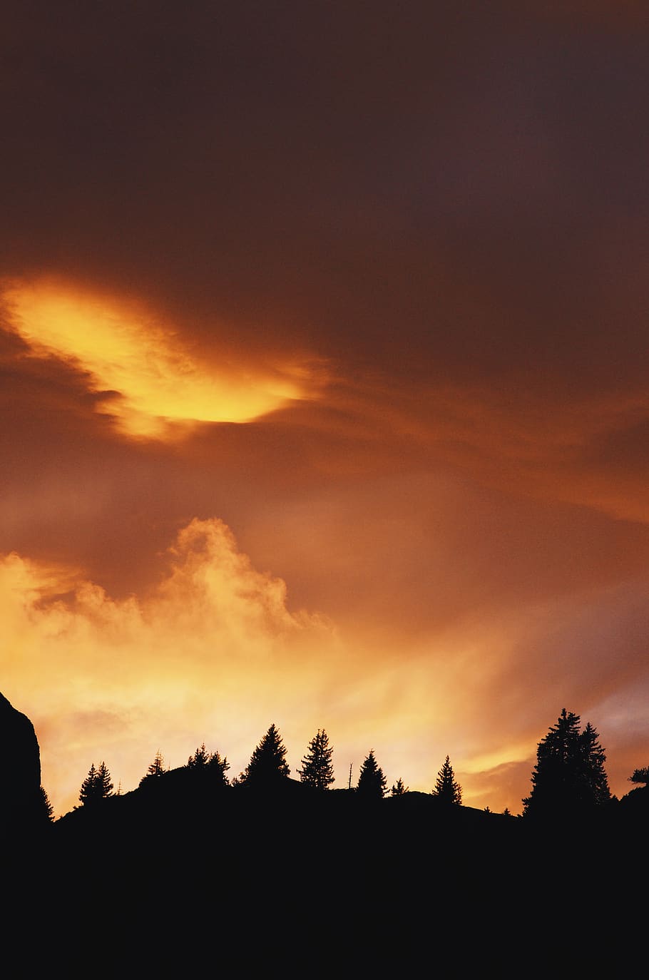 france, trees, silhouette, sky, sunset, beauty in nature, cloud - sky HD wallpaper