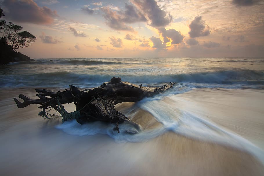 beach, sand, sea, ocean, water, nature, sky, clouds, tree, sunset HD wallpaper