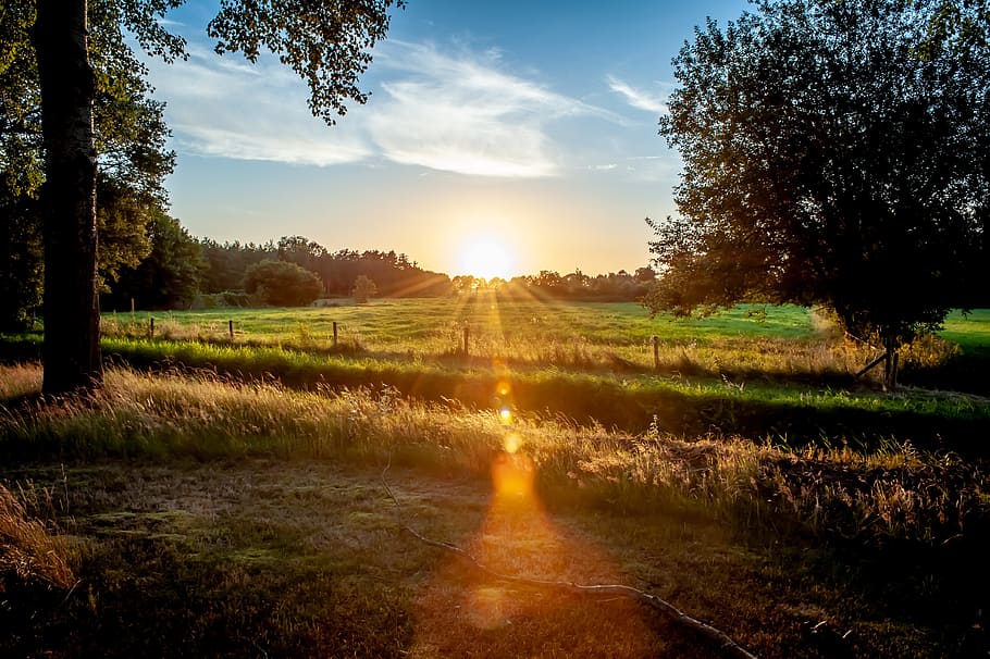 Golden Hour Photo of Green Grass Field, blue sky, clouds, dawn HD wallpaper
