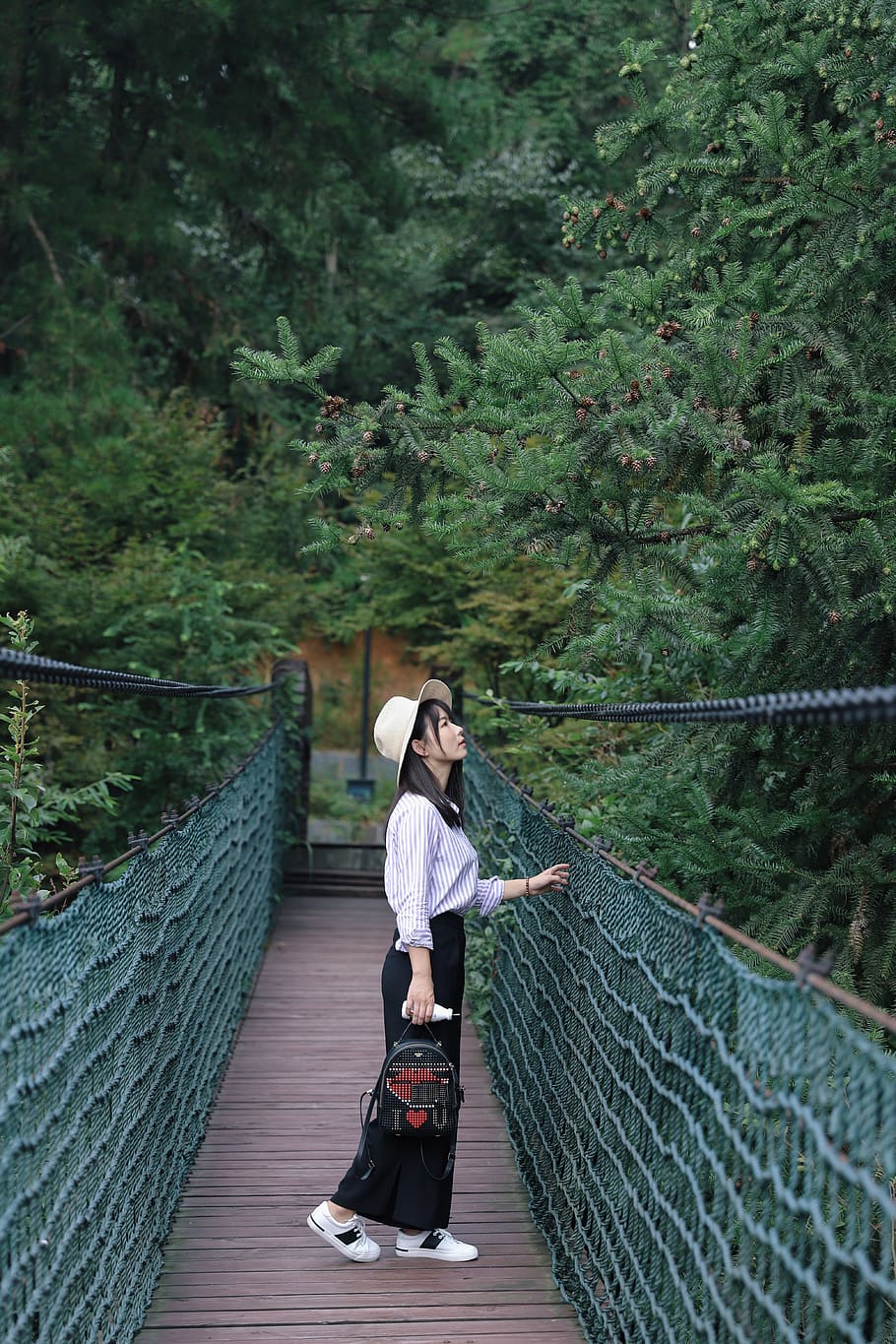 woman on monkey bridge, human, person, people, bag, conifer, flora HD wallpaper