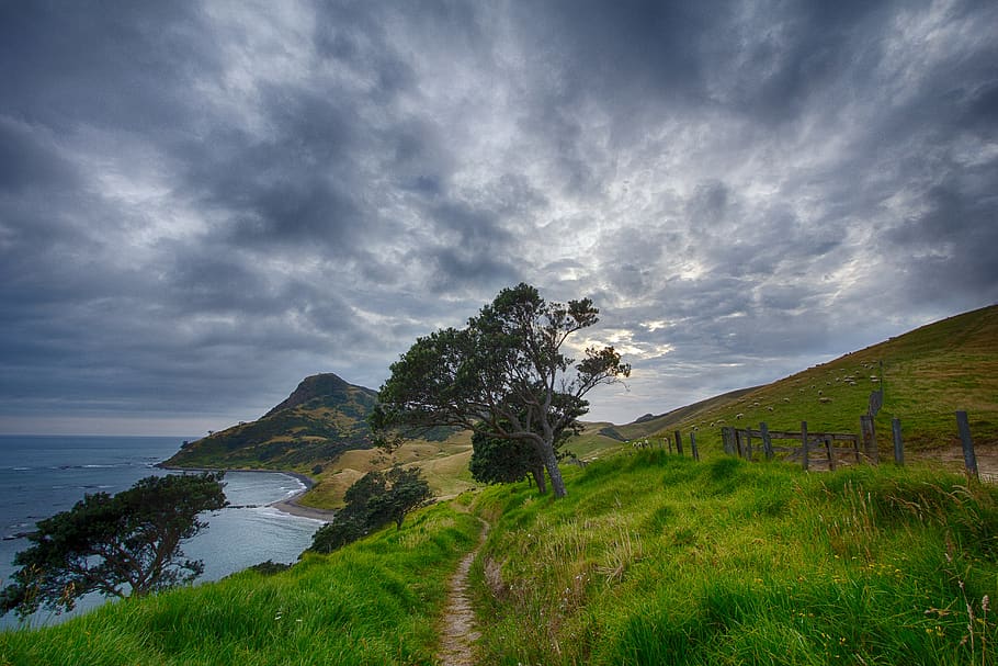 Pathway Near Fence and Cliff during Daytime, clouds, coast, grass HD wallpaper