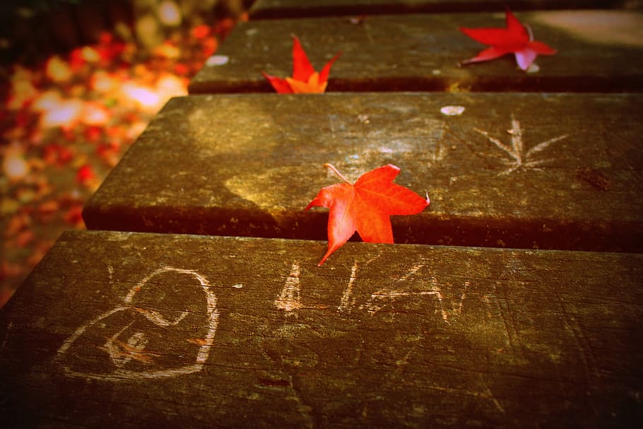 fall, graffiti, table, leaf, wood, red, love, romanticism, engraving HD wallpaper