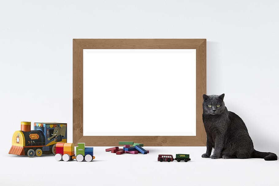 poster, frame, toys, cat, mammal, copy space, domestic animals HD wallpaper