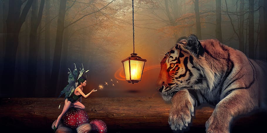 manipulation, tiger, elf fee, lamp, wood, nature, lighting equipment HD wallpaper