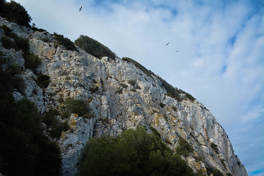 trees, cliff, hill, sunny, birds, rock, sky, low angle view HD wallpaper