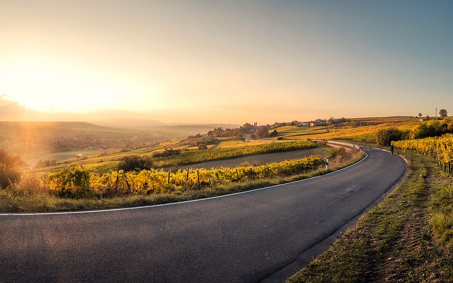 sunrise, sunlight, sunshine, tree, plant, sky, cloud, road HD wallpaper