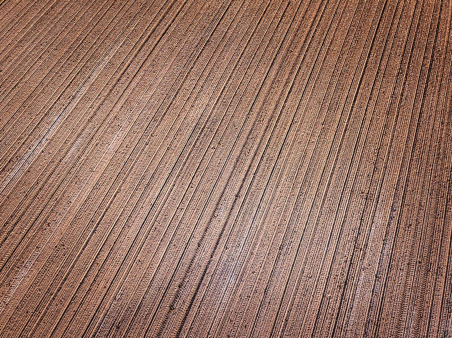 beige panel, backgrounds, pattern, full frame, wood grain, textured HD wallpaper