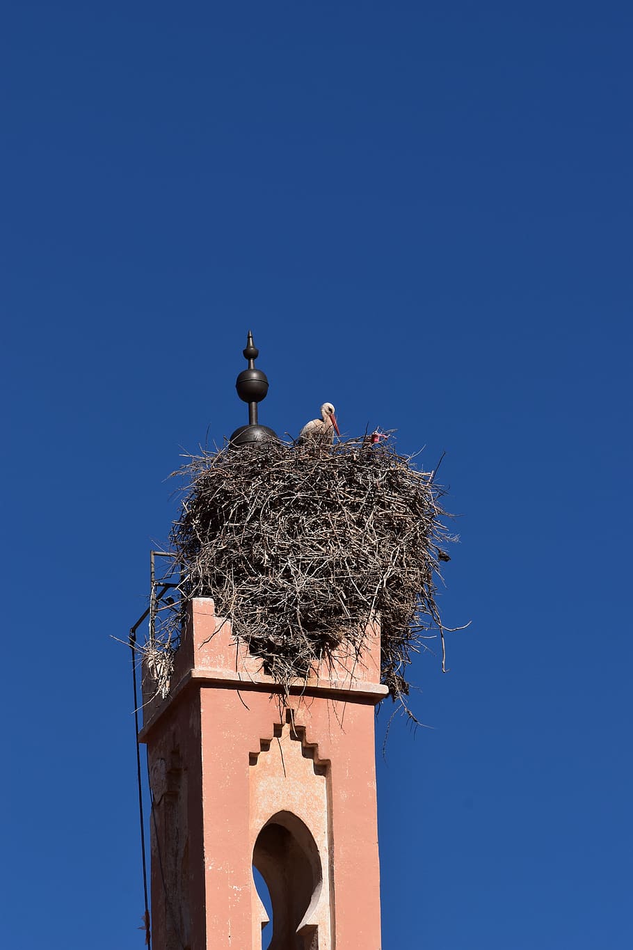 sky, stork, nest, bird, nature, storks, birds, blue, animal nest HD wallpaper