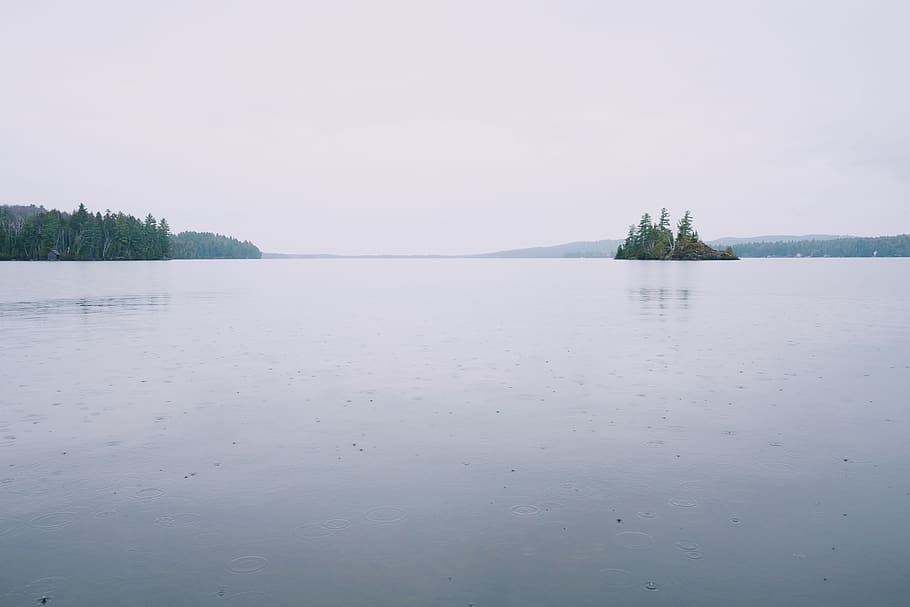 canada, lac brompton, trees, lake, forest, cottage, water, tranquility HD wallpaper