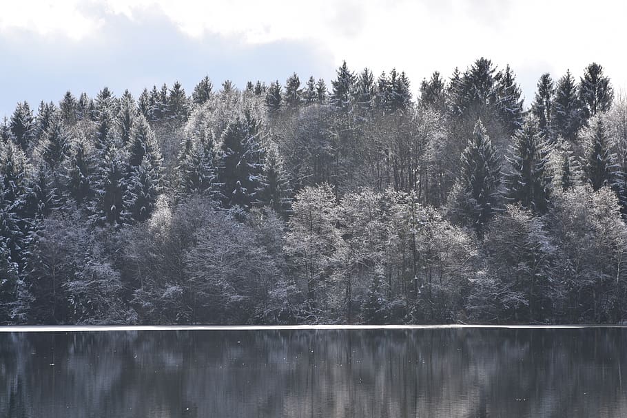 germany, moosach, steinsee, white, snow, forest, longexposure HD wallpaper