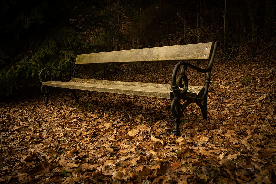 empty brown bench, seat, land, field, nature, no people, absence HD wallpaper