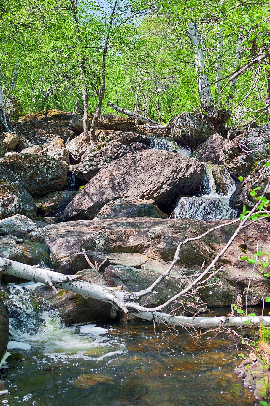 environment, falls, flowing, fresh, motion, natural, nature HD wallpaper
