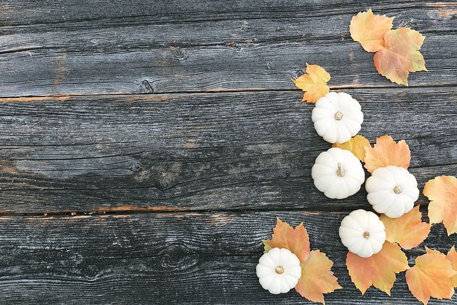 Woodgrain With Pumpkins Photo, Flatlay, Thanksgiving, Fall, Seasons, HD wallpaper