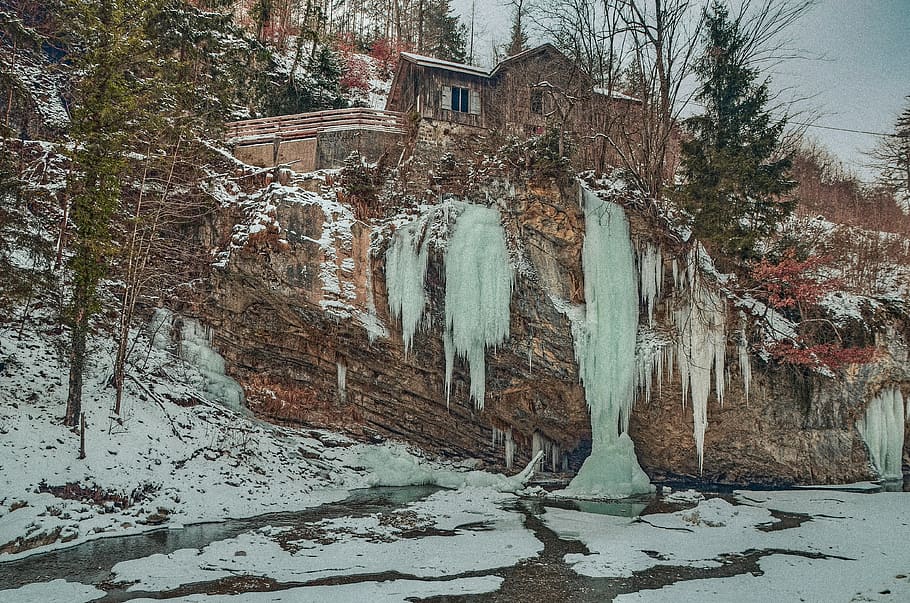 ice, water, icicle, winter, bach, tree, snow, plant, architecture HD wallpaper