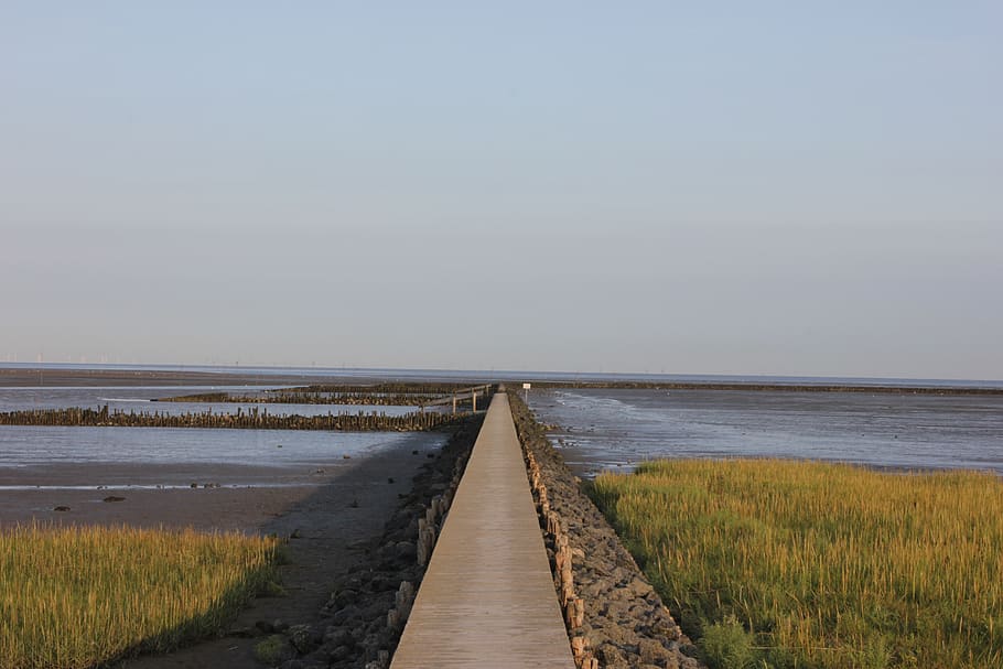 watts, web, north sea, boardwalk, nature, landscape, wadden sea HD wallpaper