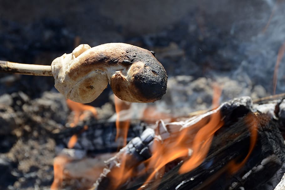 snake bread, fire, food, fresh, dough, grilling, nutrition HD wallpaper