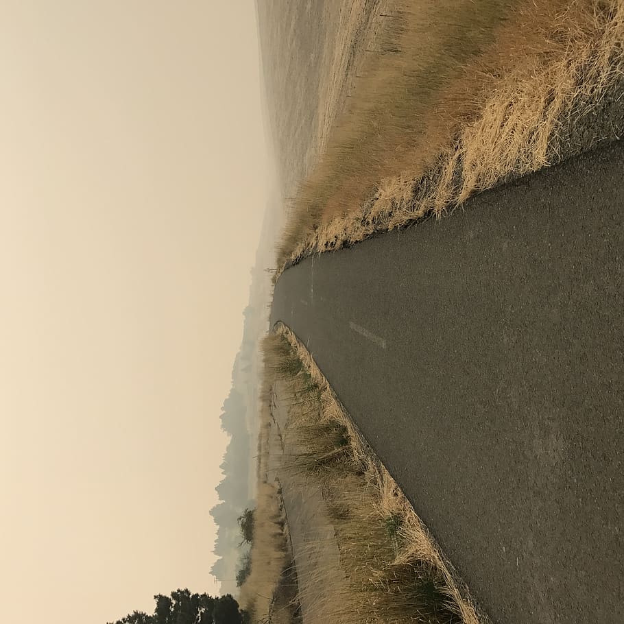 walla walla, united states, path, field, road, landscape, eastern washington HD wallpaper