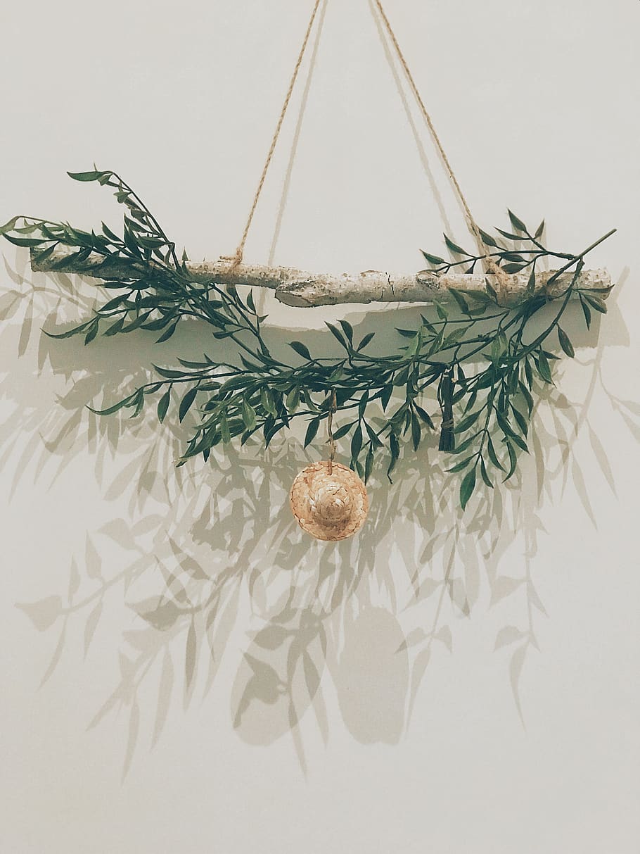 yanbian, china, plant, no people, decoration, indoors, close-up HD wallpaper