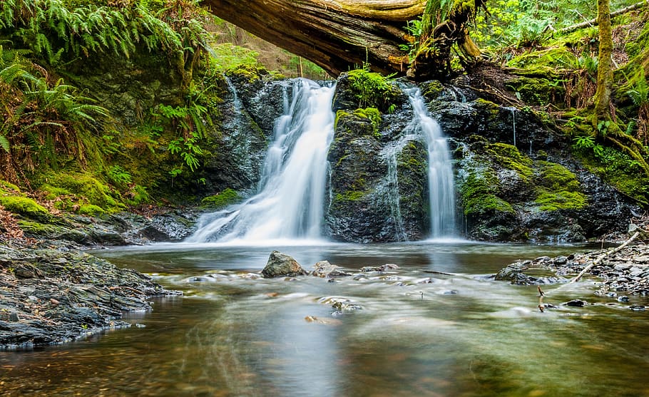 water, waterfall, river, stream, flowing, blurred, beauty in nature HD wallpaper
