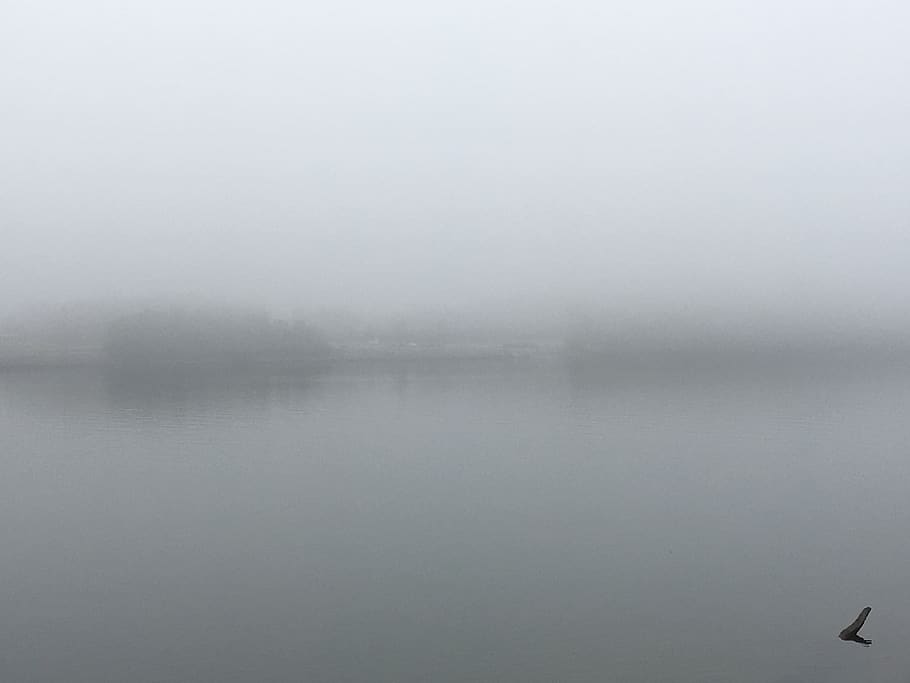 united states, chattanooga, ambient, river, calm, water, fog, HD wallpaper