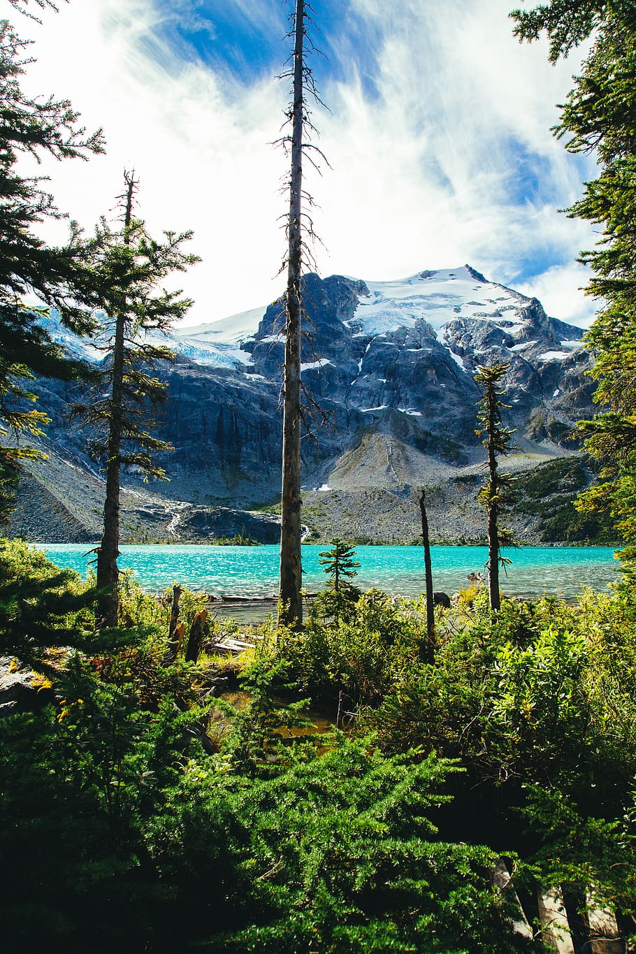lake beside mountains, plant, tree, abies, fir, conifer, nature HD wallpaper