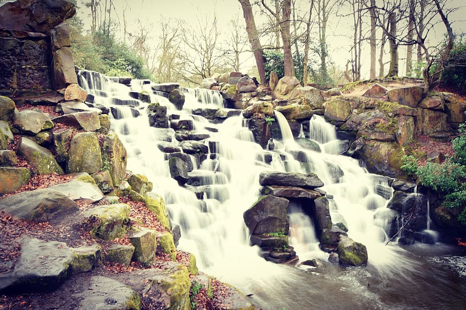trees, forest, waterfall, lake, flowing water, long exposure HD wallpaper