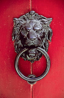 handle, door, symbol, logo, trademark, lion, old, metal, wood HD wallpaper