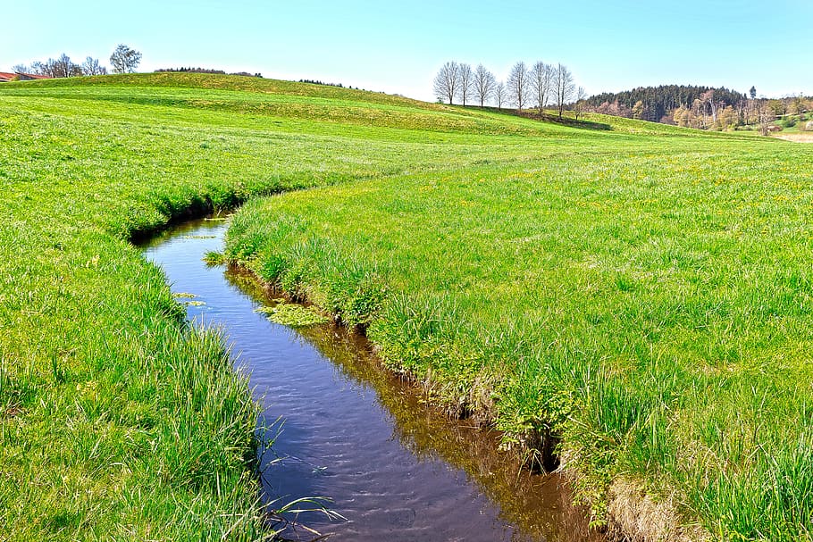bach, idyll, landscape, pasture, meadow, spring, field, grass HD wallpaper