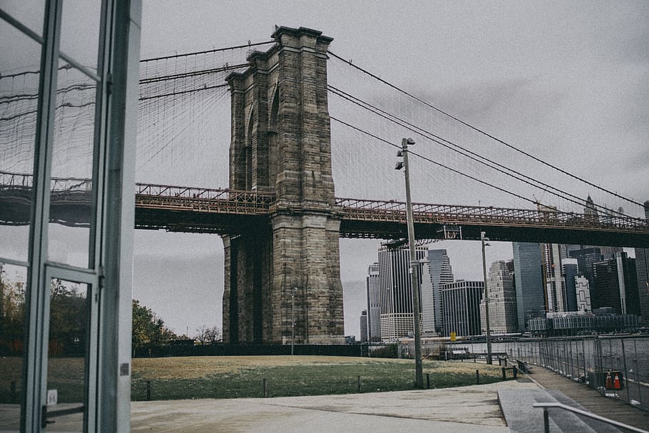 Brooklyn Bridge during daytime, building, road, city, grass, plant HD wallpaper