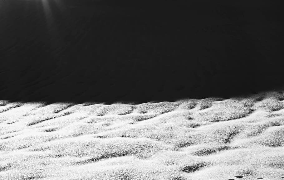 grey sand, nature, outdoors, soil, dune, footprint, ice, red wolf HD wallpaper
