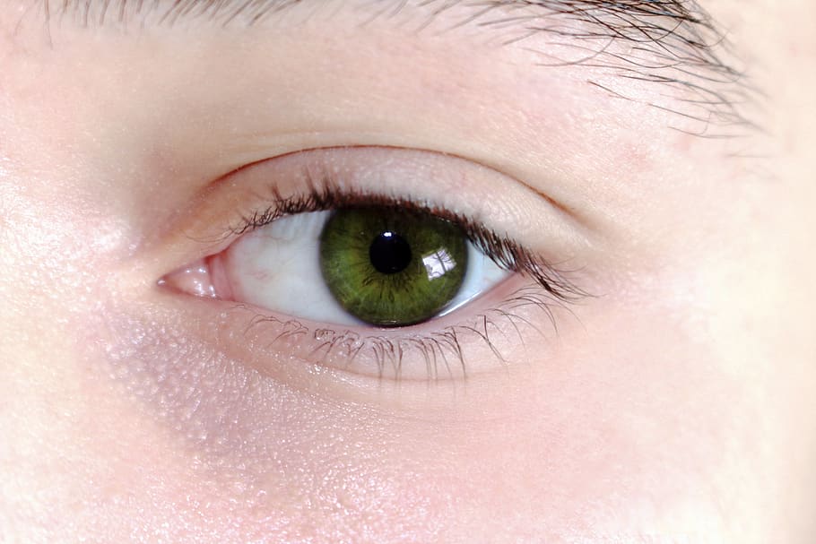 contact lens, person, right eye, Eyes, Macro, Pupil, Green, HD wallpaper